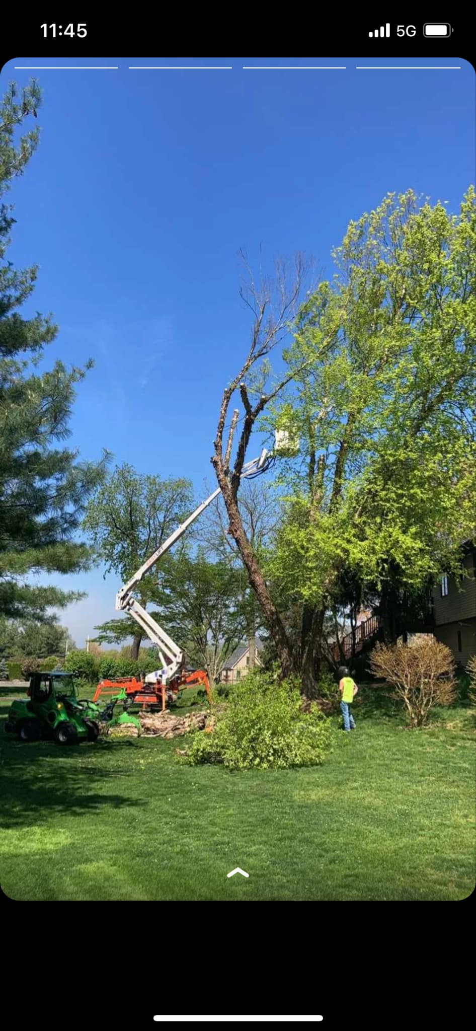 Boo's Tree & Lawn Service