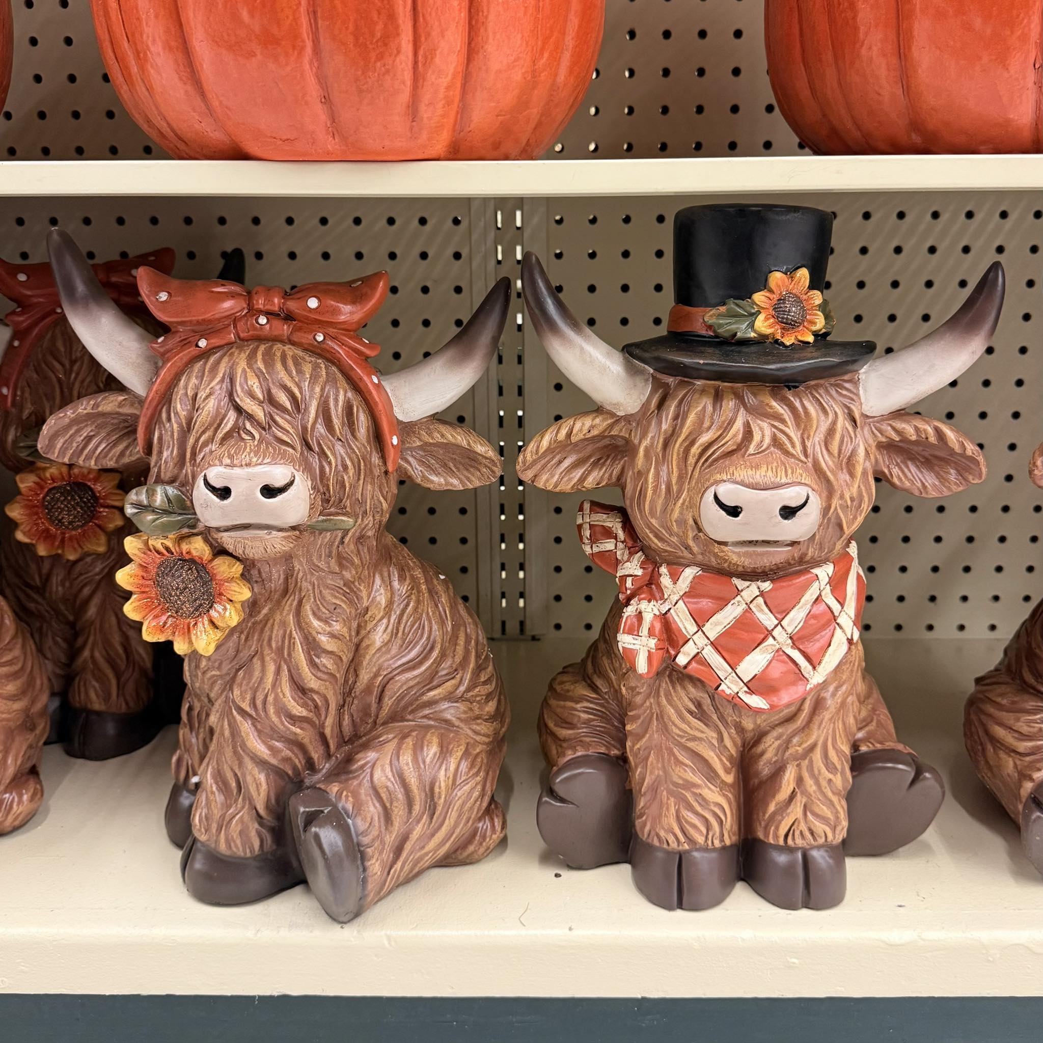 I Love Cows - NEW highland cows for fall at hobby lobby! 🐮🍂🌻 | Facebook