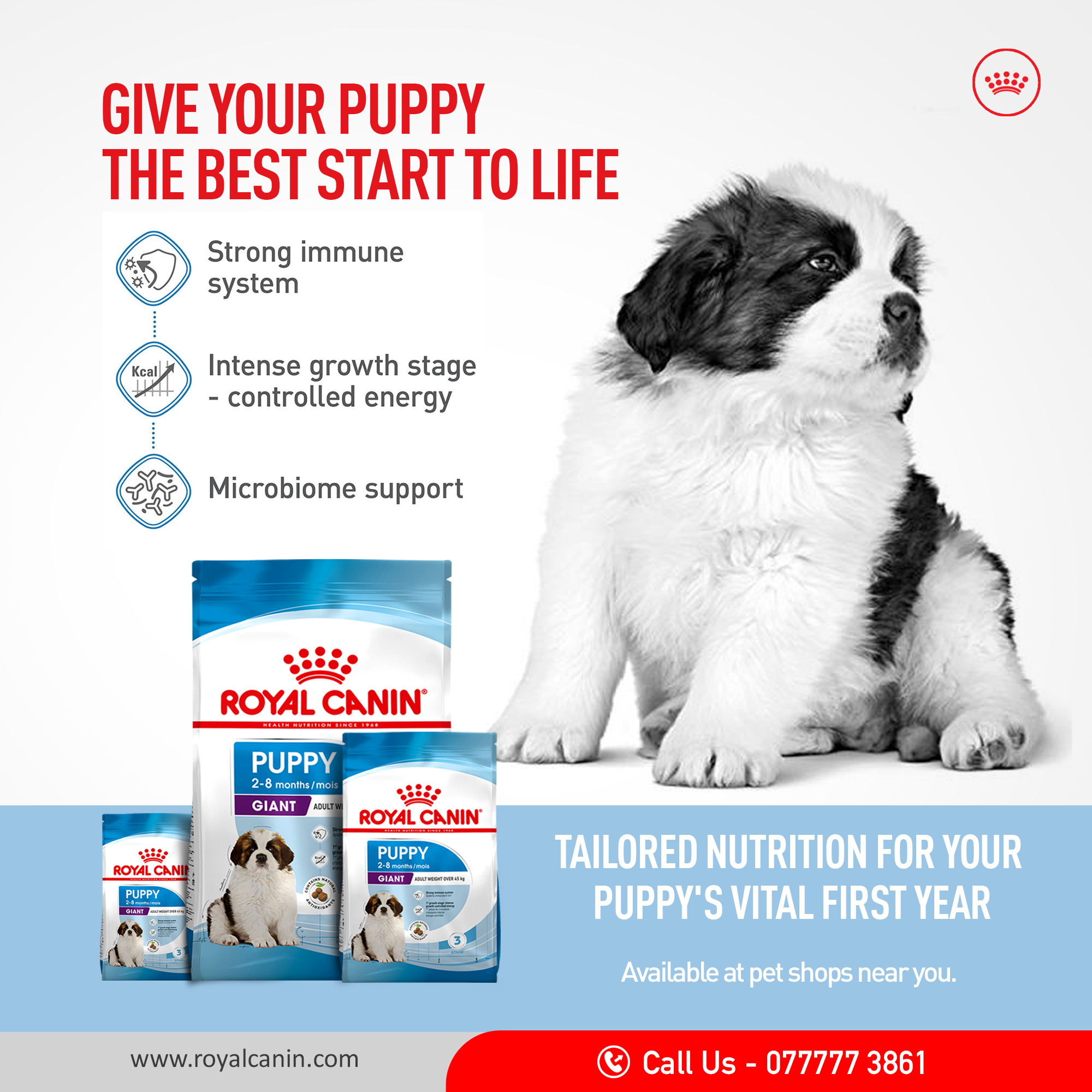 𝐓𝐡𝐞 𝐁𝐞𝐬𝐭 𝐃𝐨𝐠 𝐅𝐨𝐨𝐝 𝐢𝐧 𝐒𝐫𝐢 𝐋𝐚𝐧𝐤𝐚 Royal Canin Sri Lanka