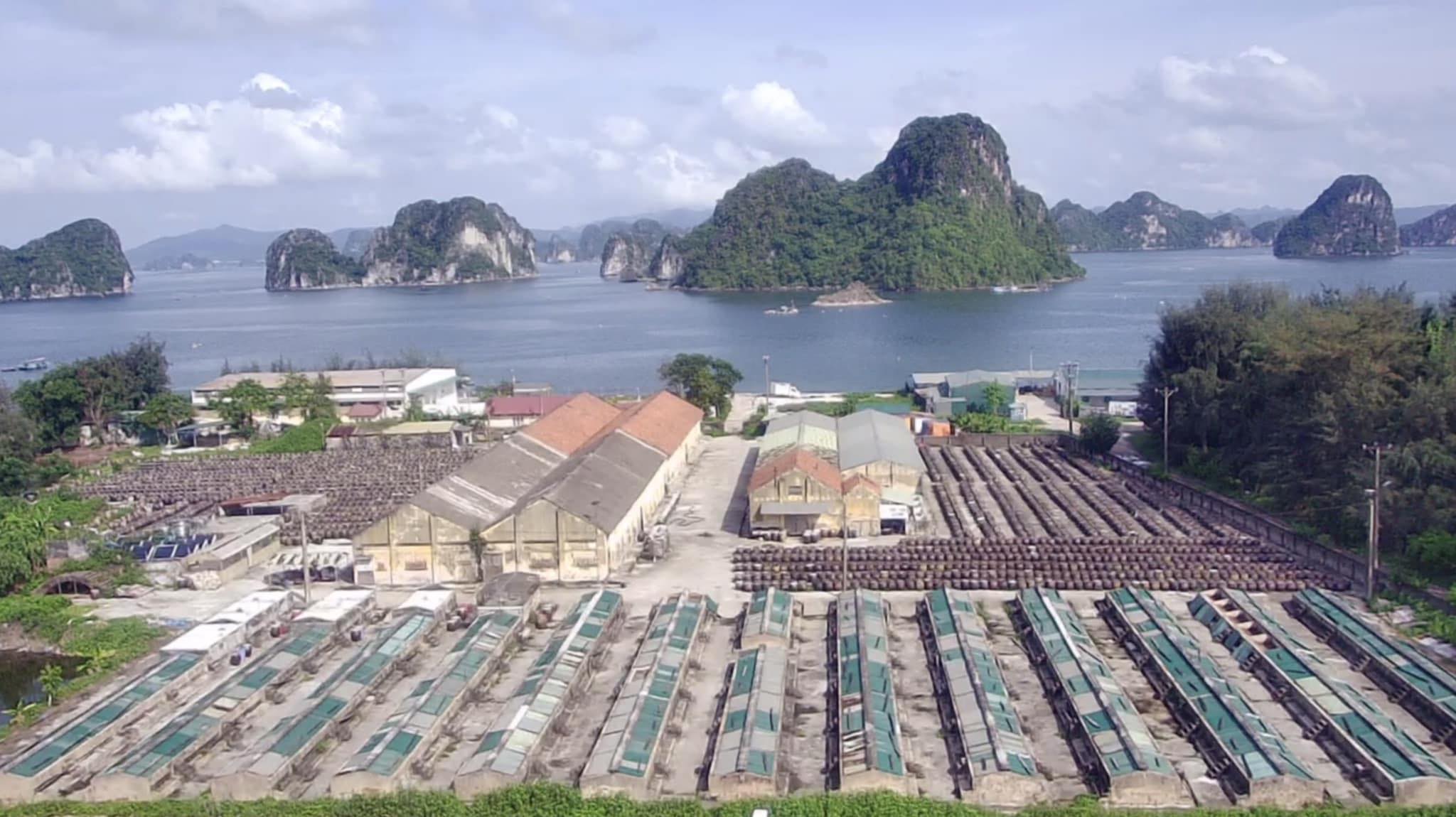 Nước Mắm Cái Rồng - Công Ty Cổ Phần Thủy Sản Cái Rồng