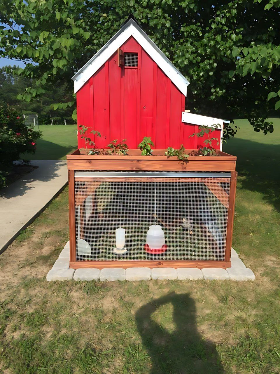 Viral - Red barn chicken coop with a rooftop garden. | Facebook