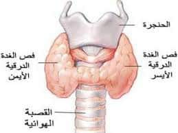 قل وداعا للغدة الدرقية 1 زواغي للحجامة النبوية Facebook