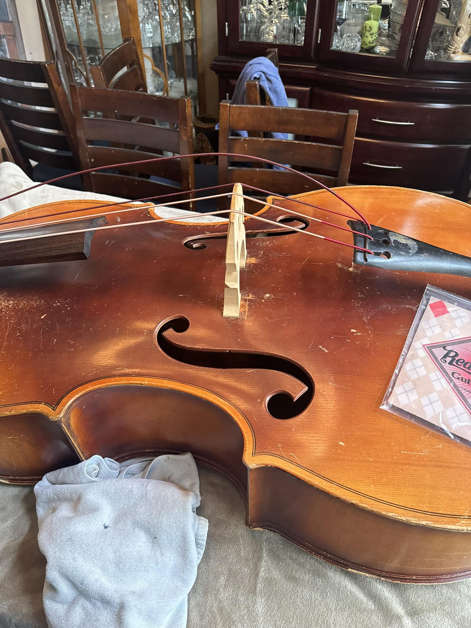 Gamut Red Diamond ガットG弦 Red Diamond Wrapped Guts for Upright Bass Review and Discussion