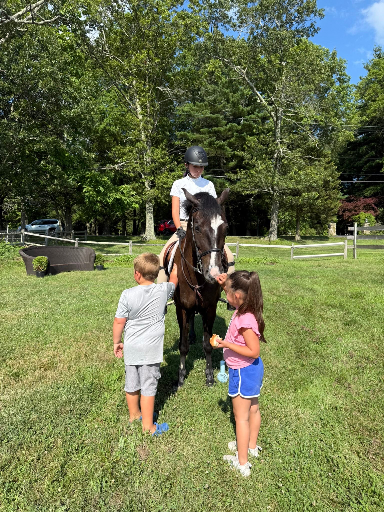 August Farm | Holliston MA