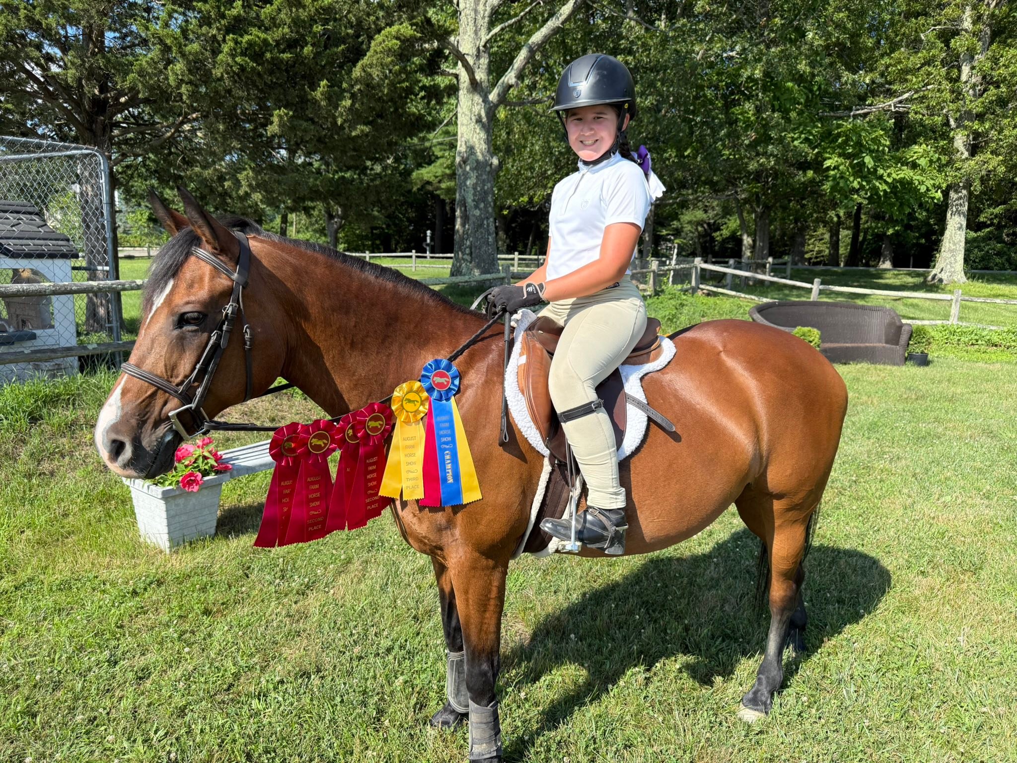 August Farm | Holliston MA