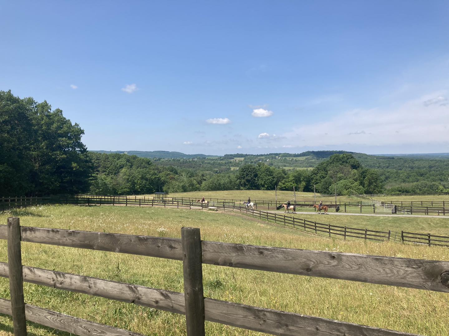 The Nunda Ranch - 🐴 GUIDED HORSEBACK TRAIL RIDES 🐴 ☀️... | Facebook