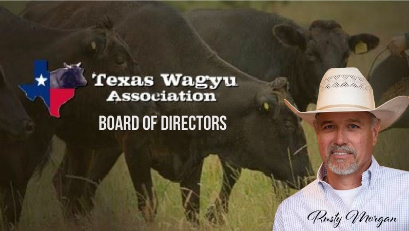 CONGRATULATIONS RUSTY! Our... - Morgan Livestock Equipment