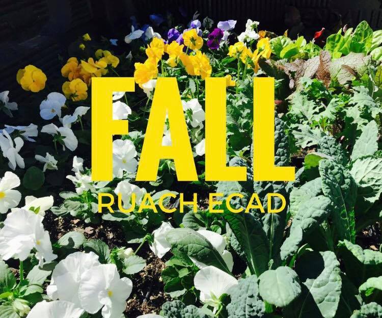 Ruach Ecad LLC | Atlanta GA