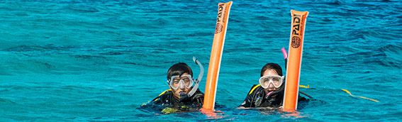 PADI DSMB Course