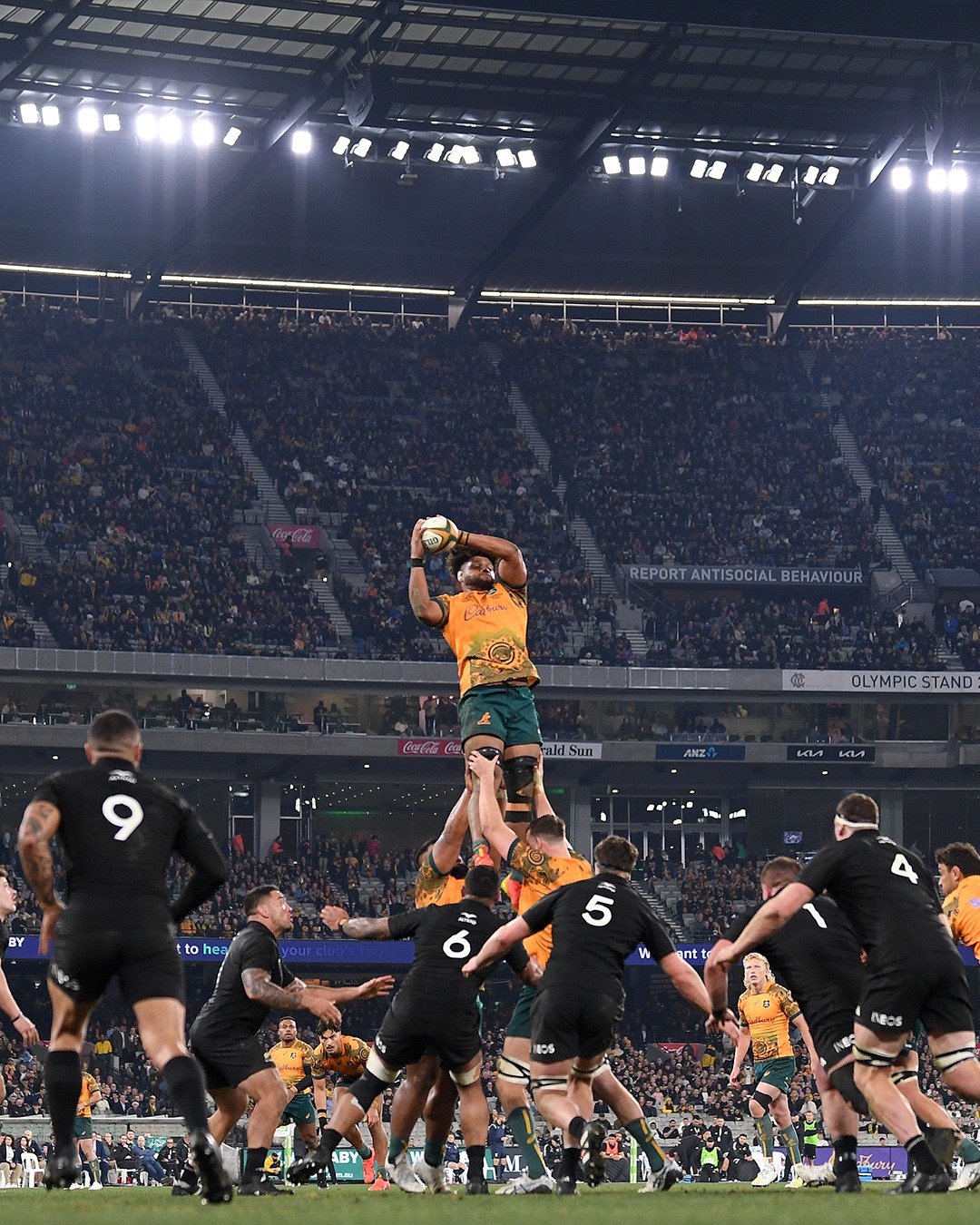Wallabies - A packed out MCG for the Bledisloe Cup 🏟🏆...