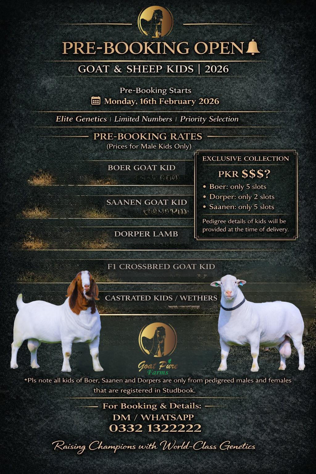 Goat - Online Pre-booking for our 2026 Goat & Sheep Kids officially ...