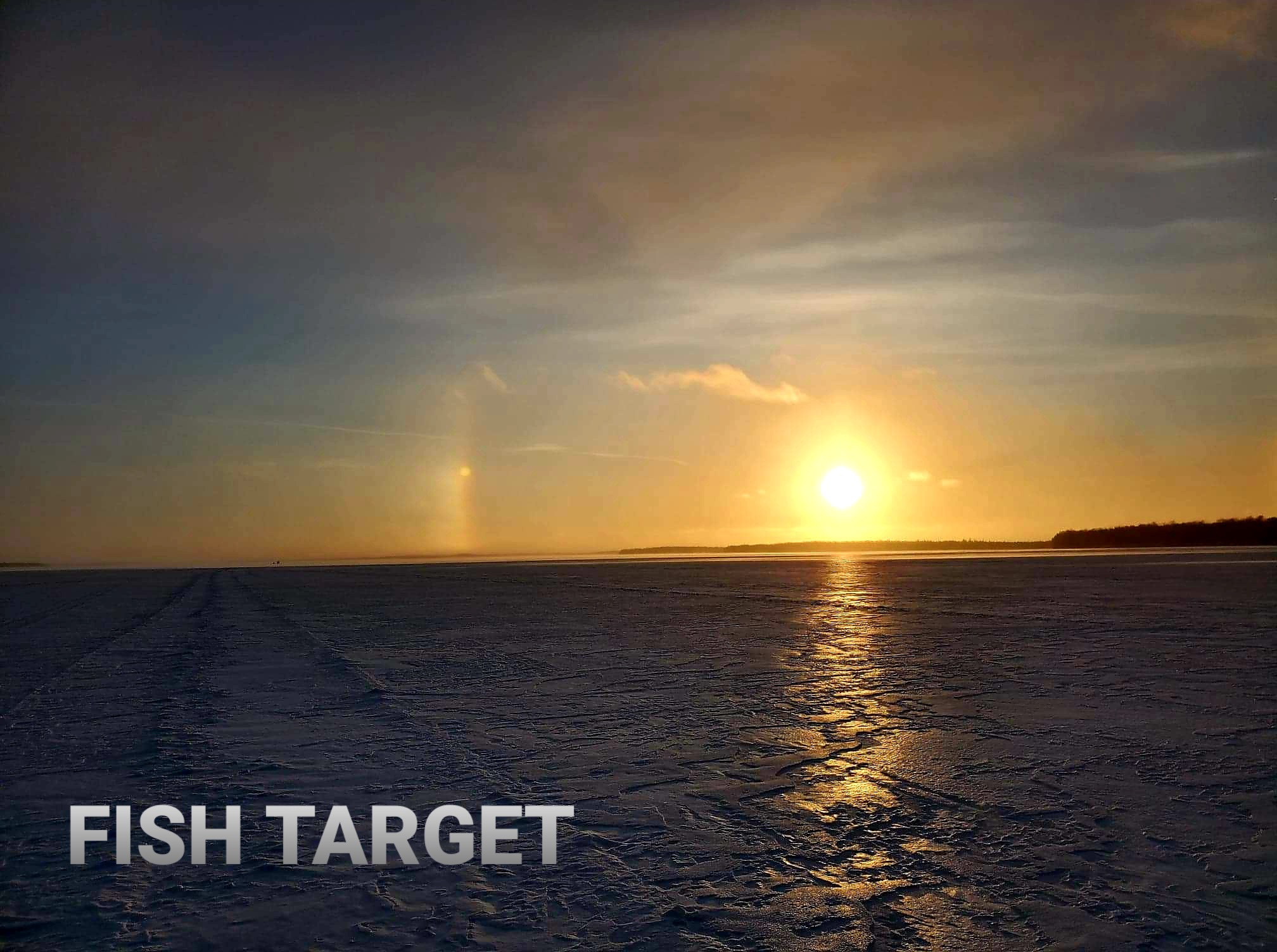 Fish Target