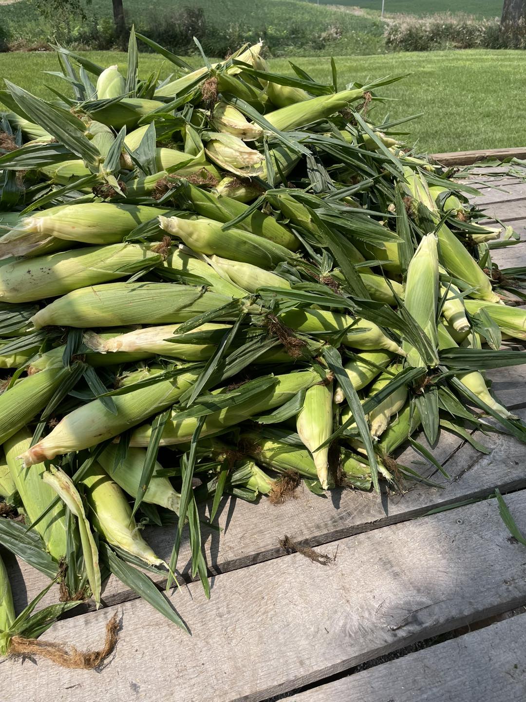 Stratton Farms