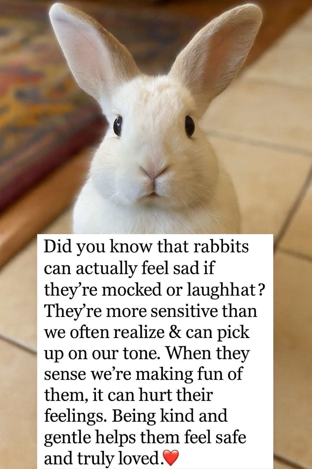 Bunny - When you realize kindness isn’t just for humans — it’s what ...