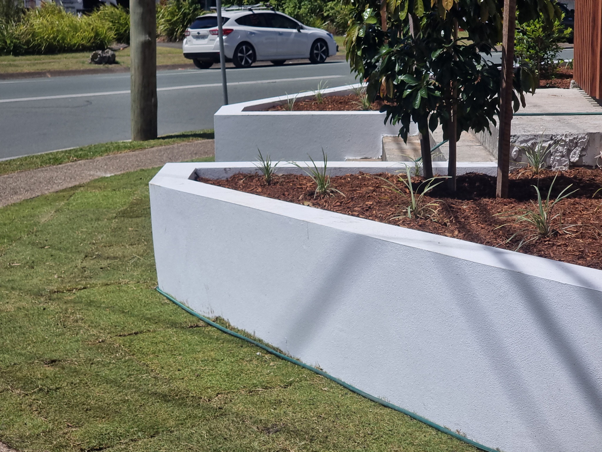 Trees & Landscape Creations | Gold Coast QLD