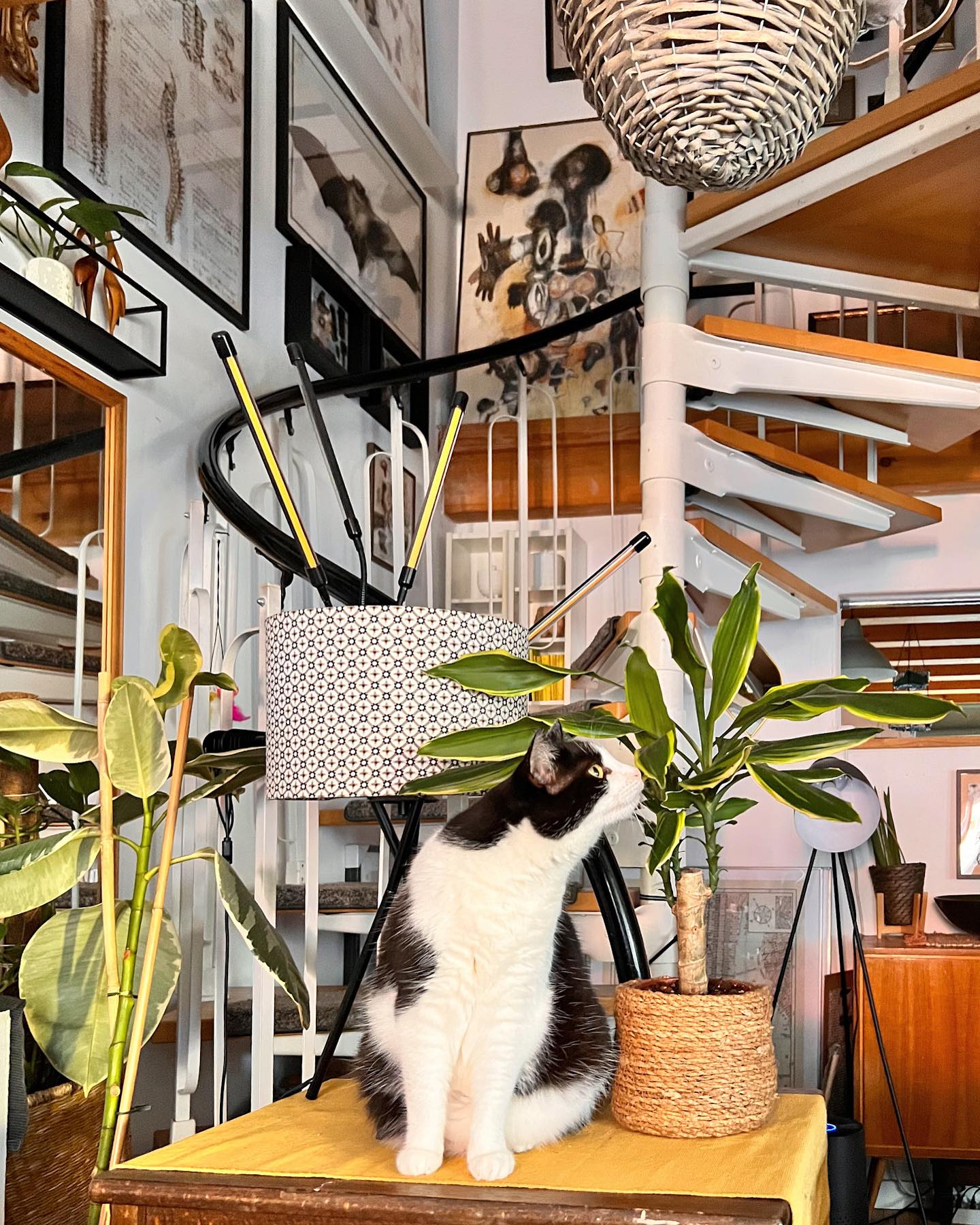Stylepeacock - Happy Boho Interior & Lifestyle - https://www.instagram ...