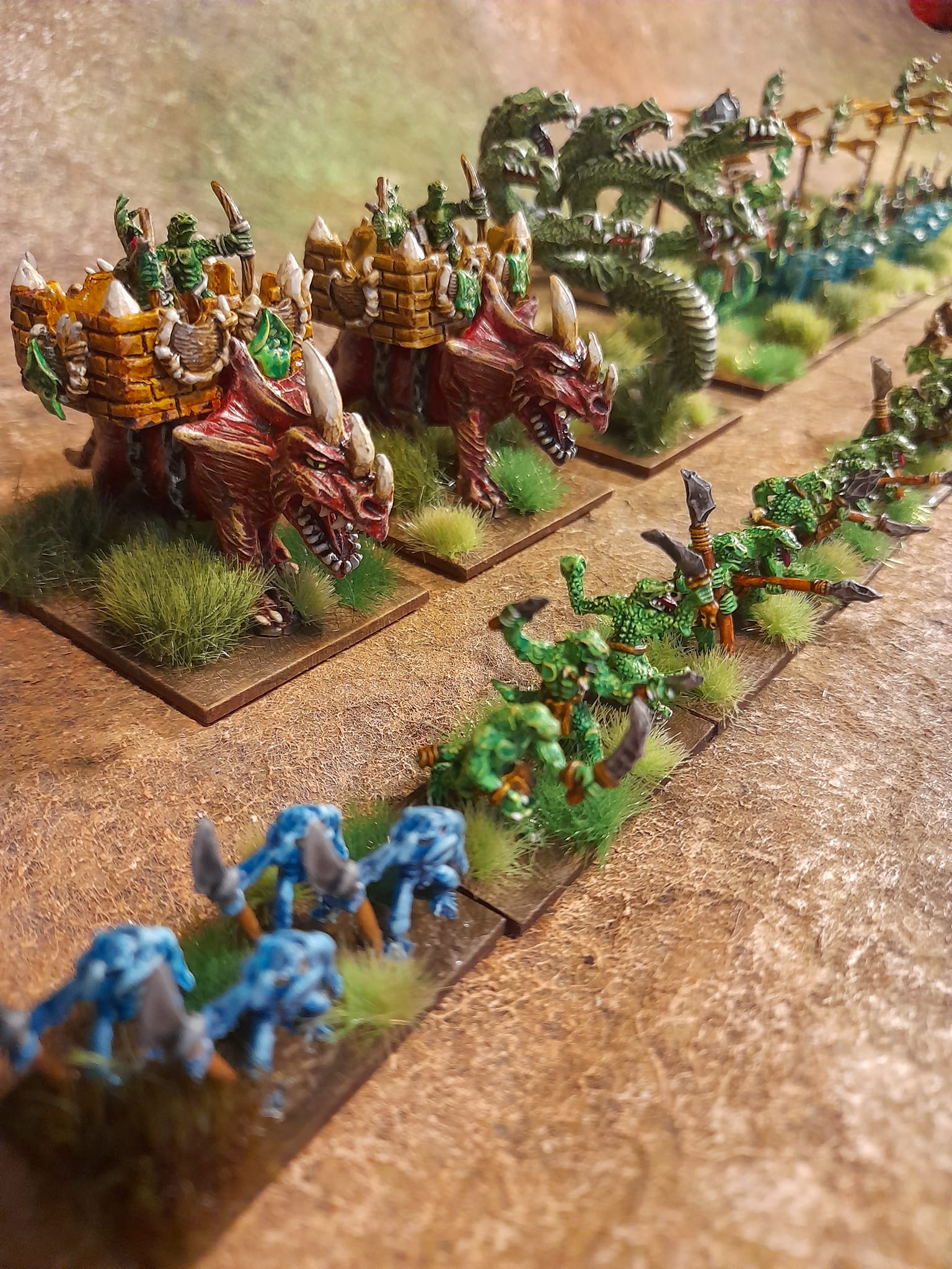 Finished savage lizardmen army for Fantasy Triumph