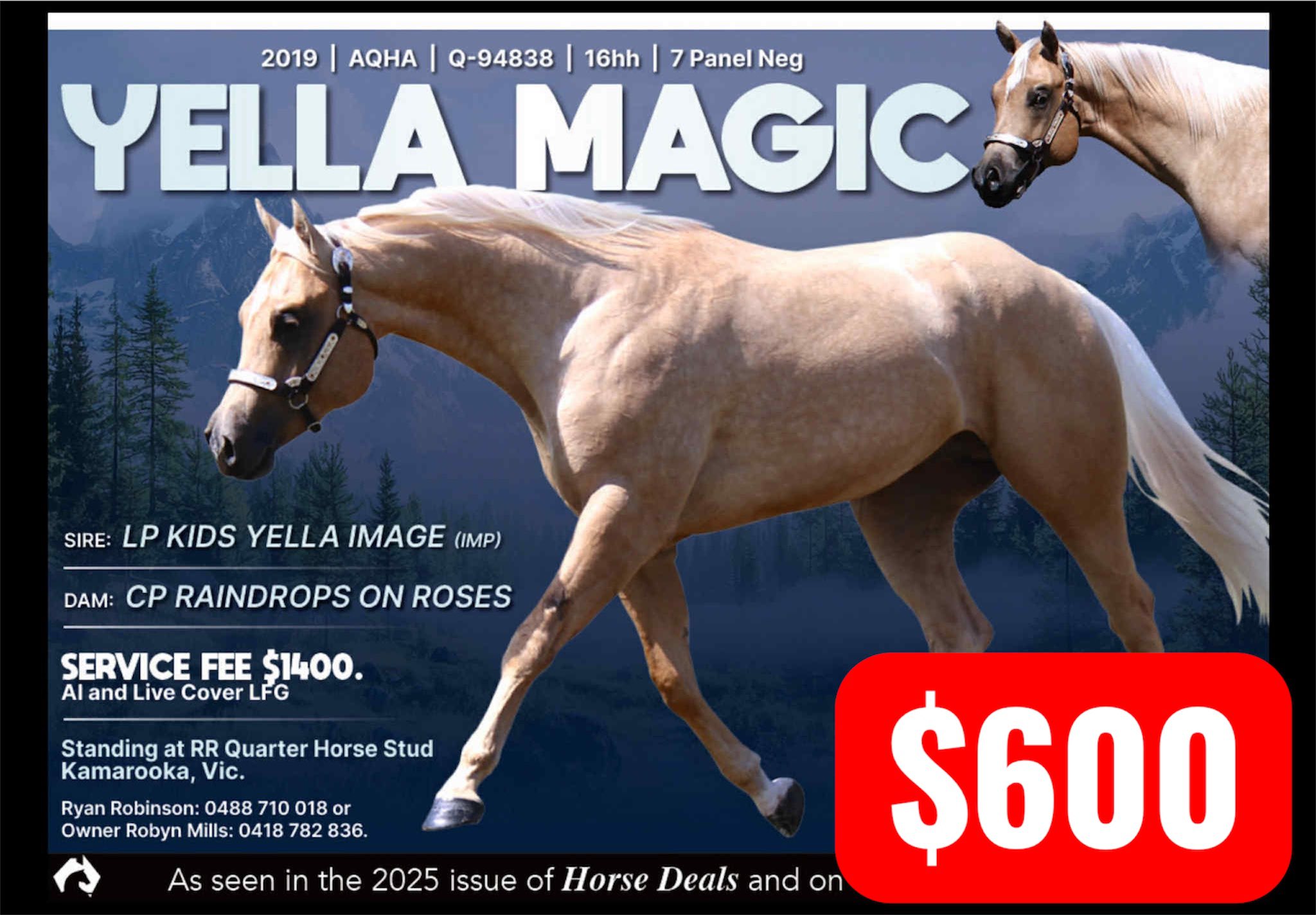 This is your SALE POST. Comment SOLD on the stallion breeding you