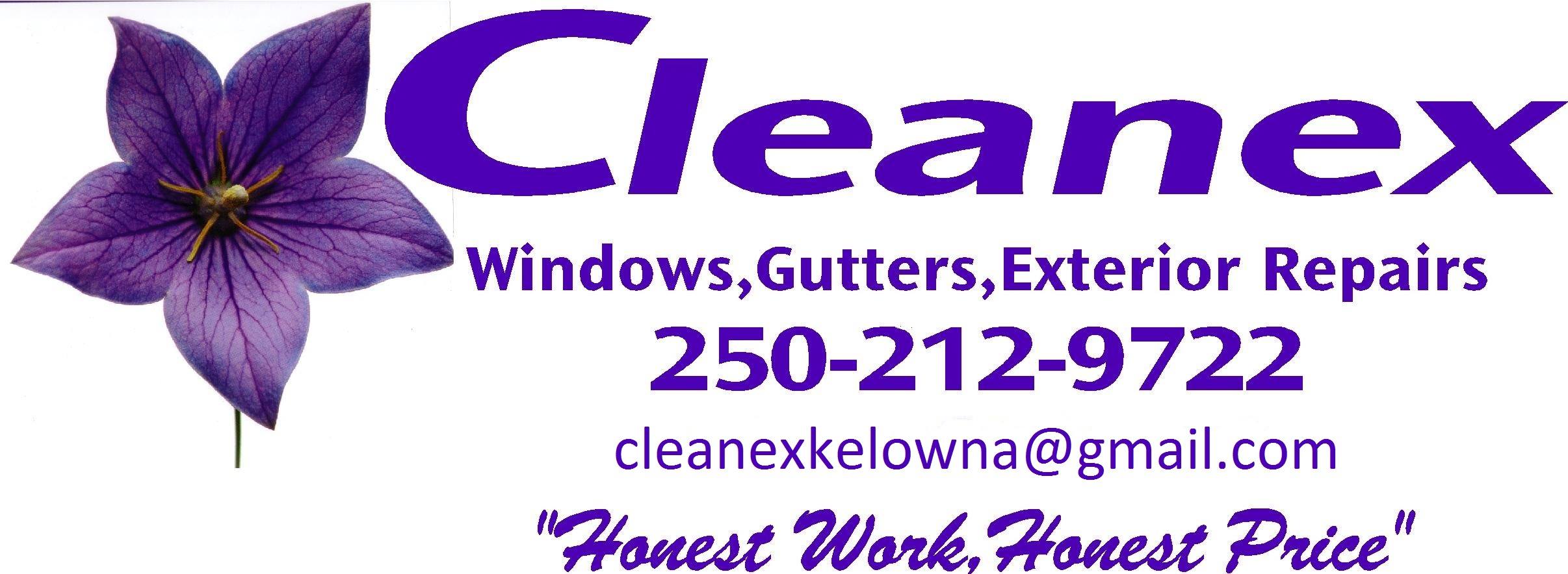 Cleanex Window and Gutter Cleaning - Home