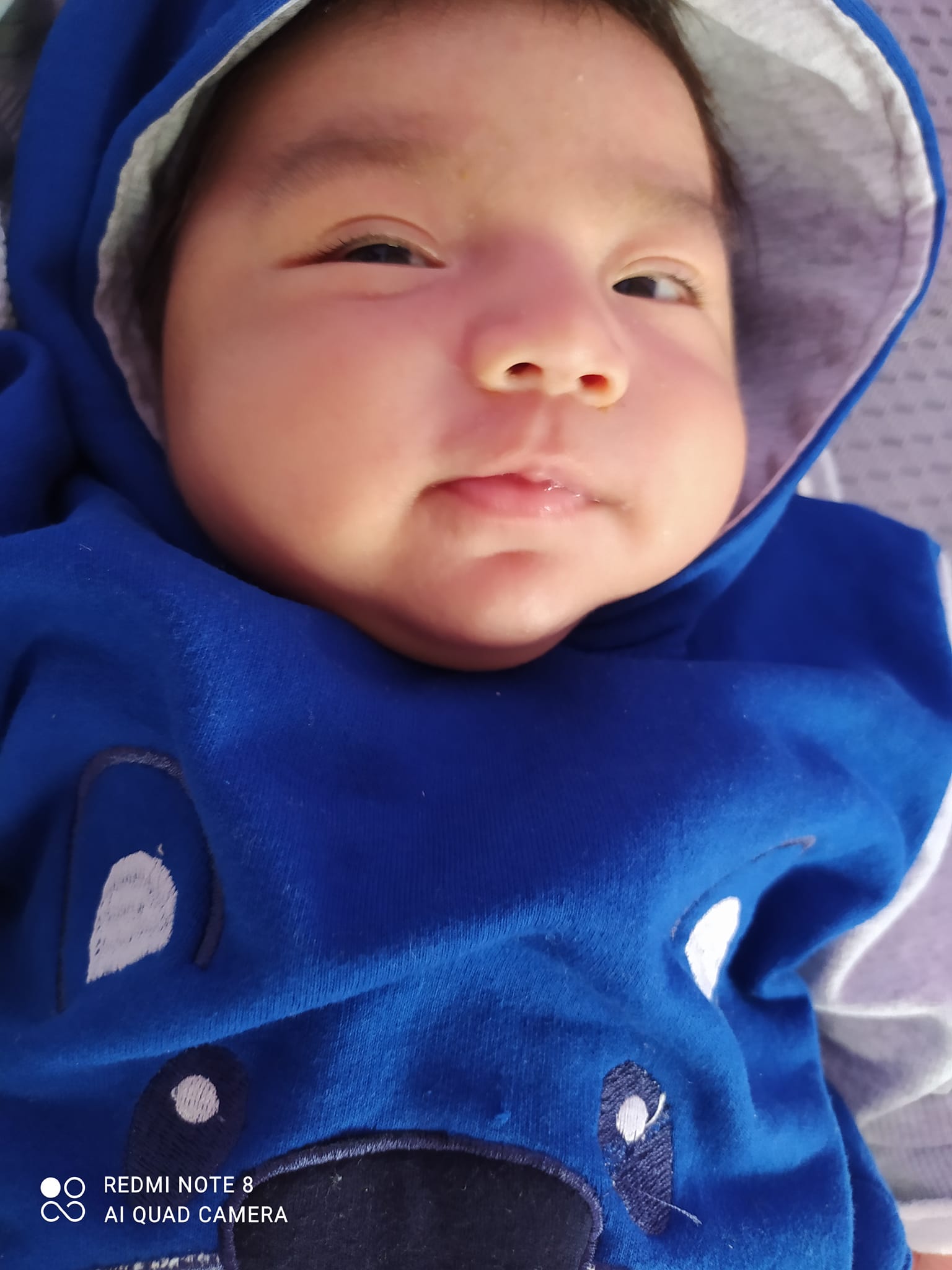 Vanesa Elizabeth Roldan Alvarado
