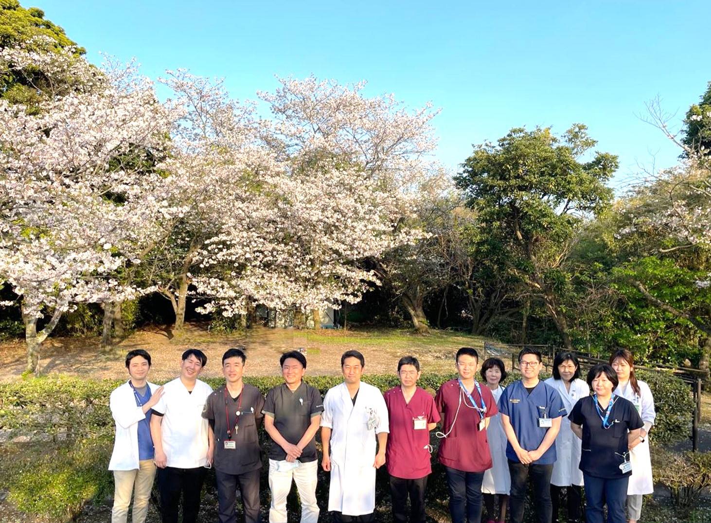 鹿児島 大学 病院 耳鼻 咽喉 科