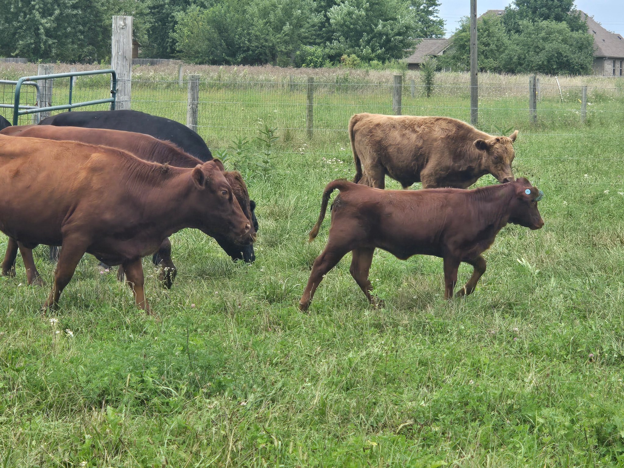 BrooksSide Acres | Greenfield IN