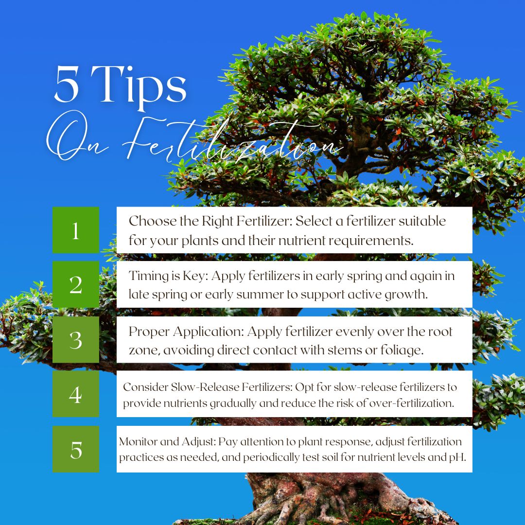 Axewood Tree | Olathe KS