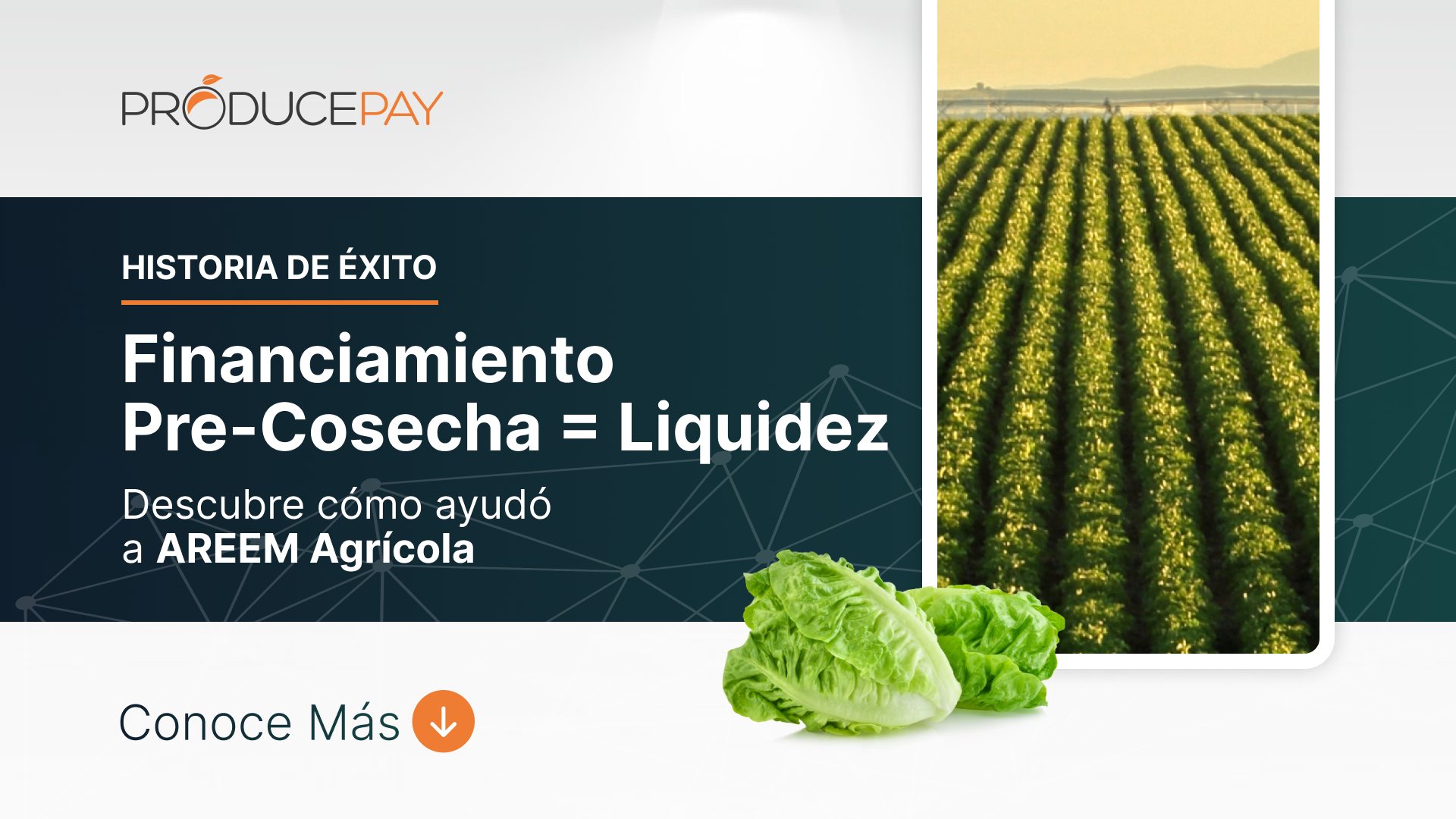 ProducePay - 🌱 Descubre la historia de AREEM Agrícola, una innovadora ...