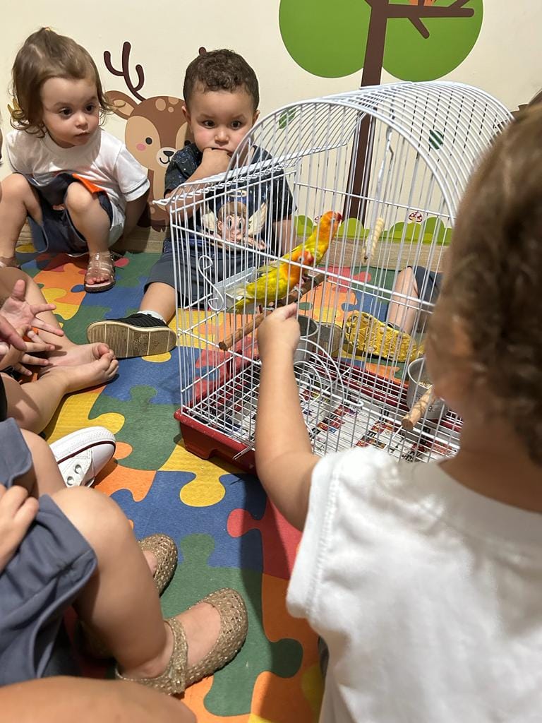 Escola CEPP - Ed. Infantil e Ens. Fundamental | Facebook
