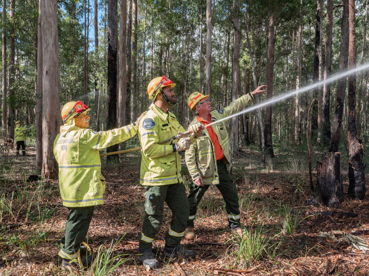 Representatives from... - Australian Forests & Timber News