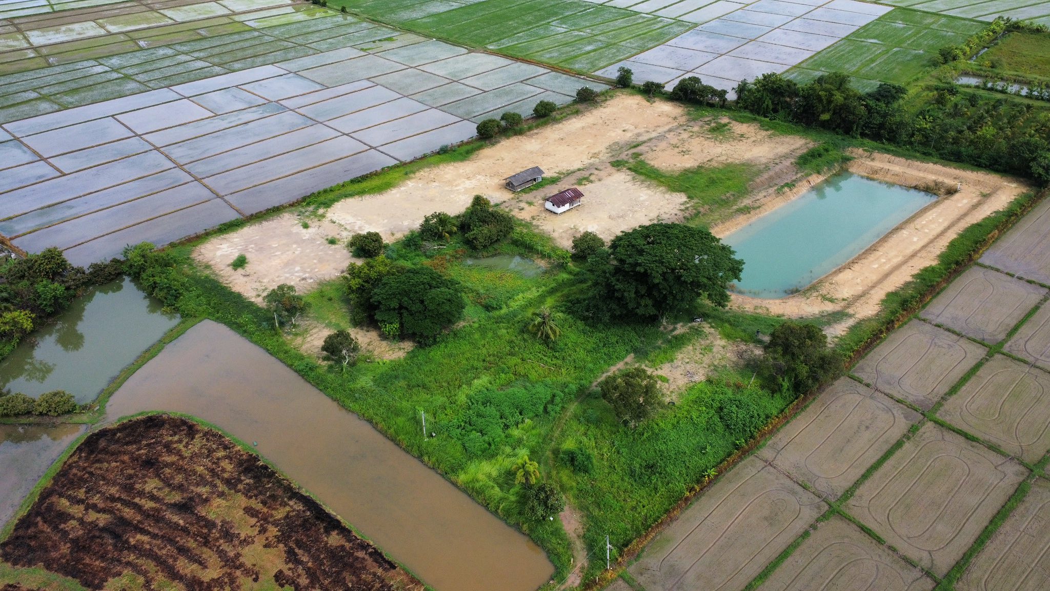 Bumbim BM Farm
