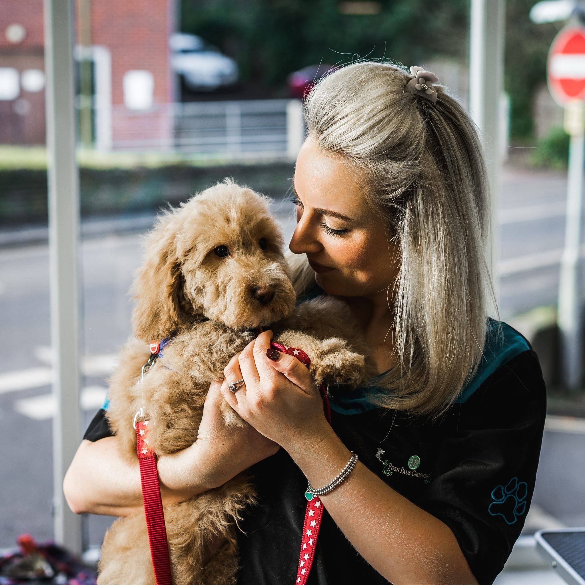 Plus a Caramel Frappe 😘 Service: Signature style XL breed, Clipped ...