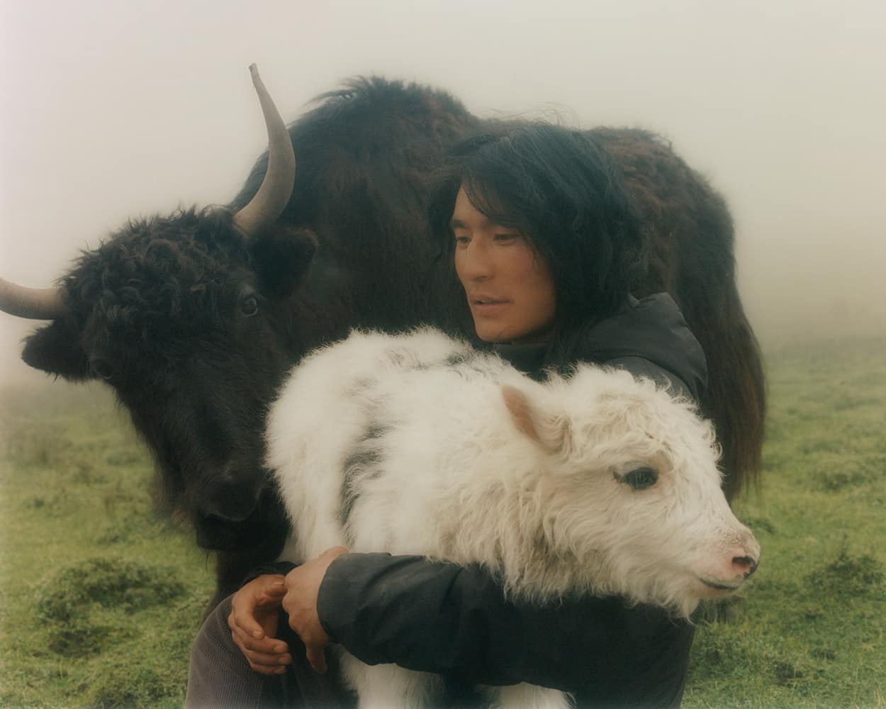 Yak norlha meaning She Built a Yak Wool Economy in the Tibetan Plateau
