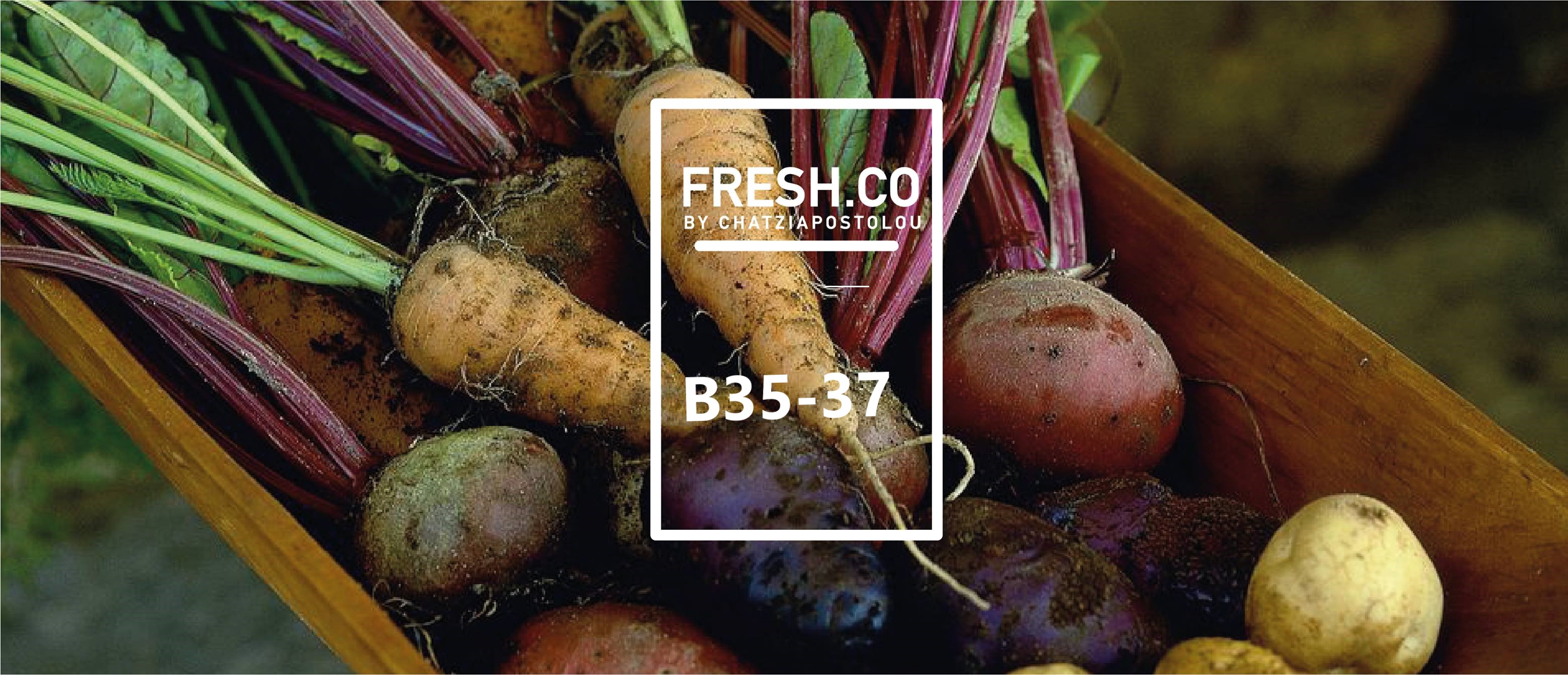 fresh.co