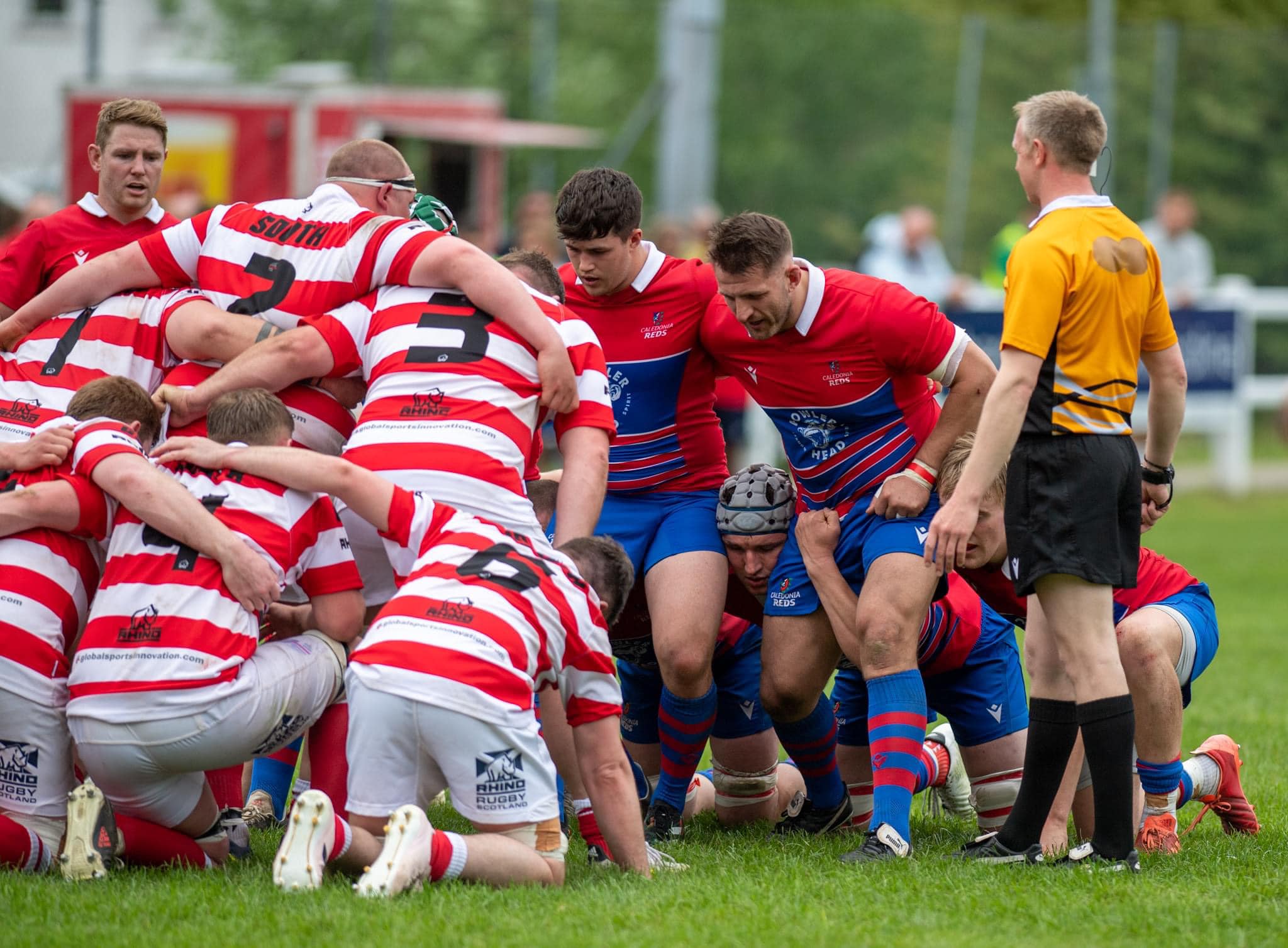 🏆🔴🔵Caledonia Reds ~ Scottish... - Howe of Fife RFC