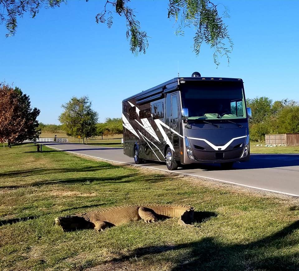 Always Shiny Wheels and RV