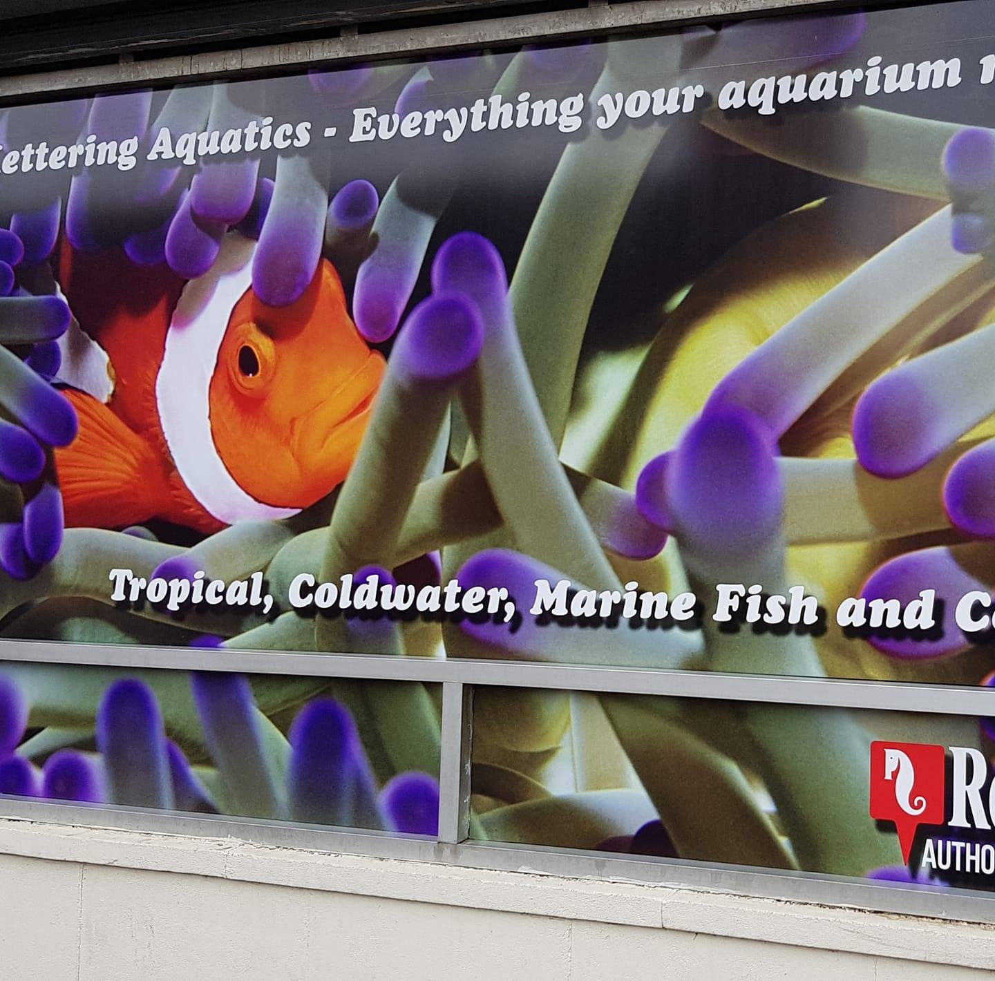 Friday marine fish and coral | Kettering Aquatics