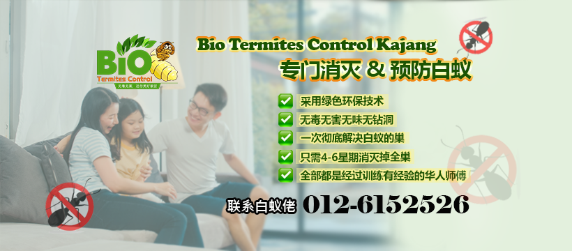 Termite Pro Malaysia added a new photo. - Termite Pro Malaysia