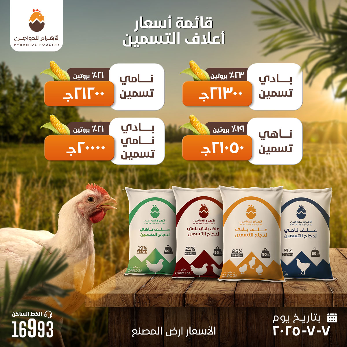 ‎الاهرام للدواجن -... - الاهرام للدواجن - Pyramids Poultry