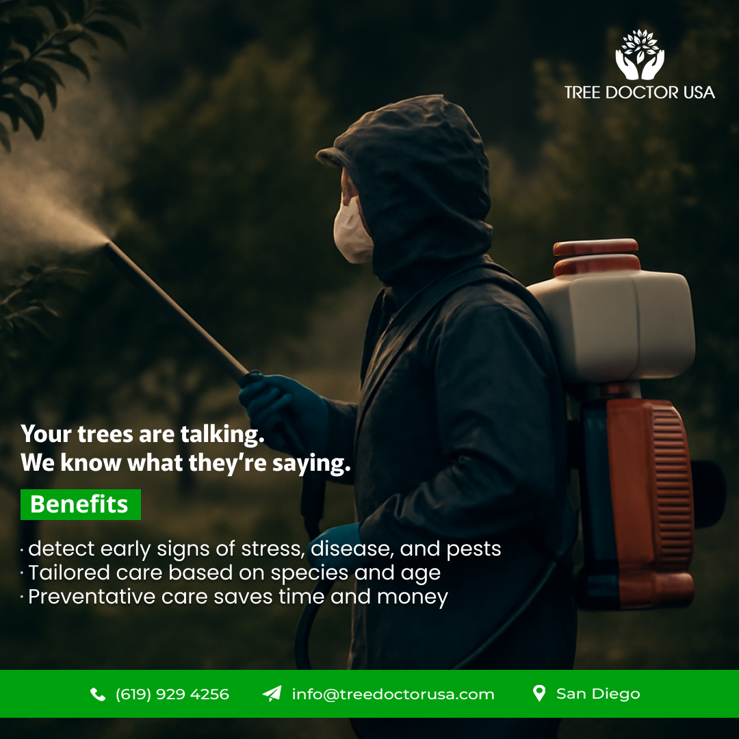 Tree Doctor USA | Murrieta CA