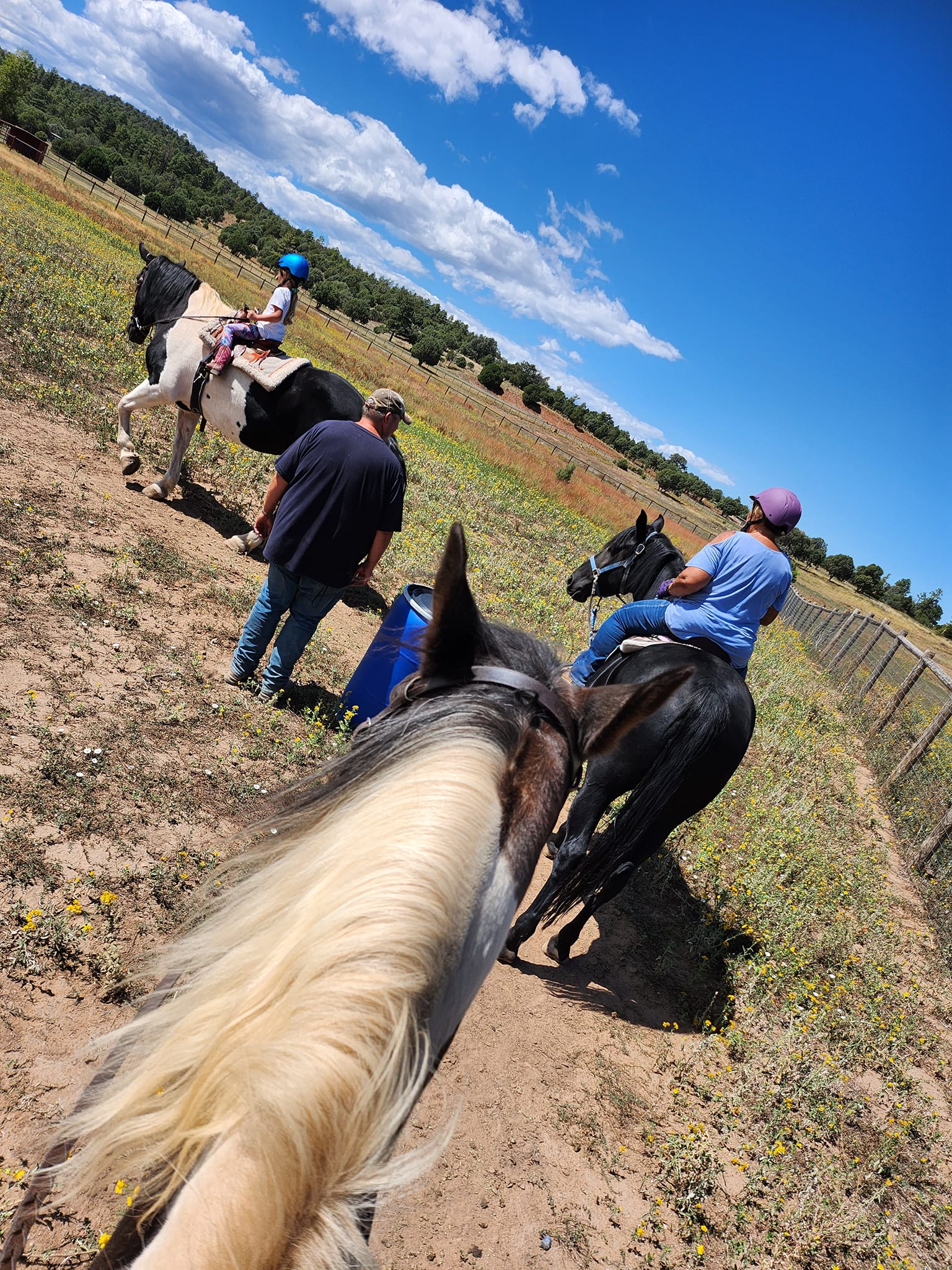 JJ Ranch Riding