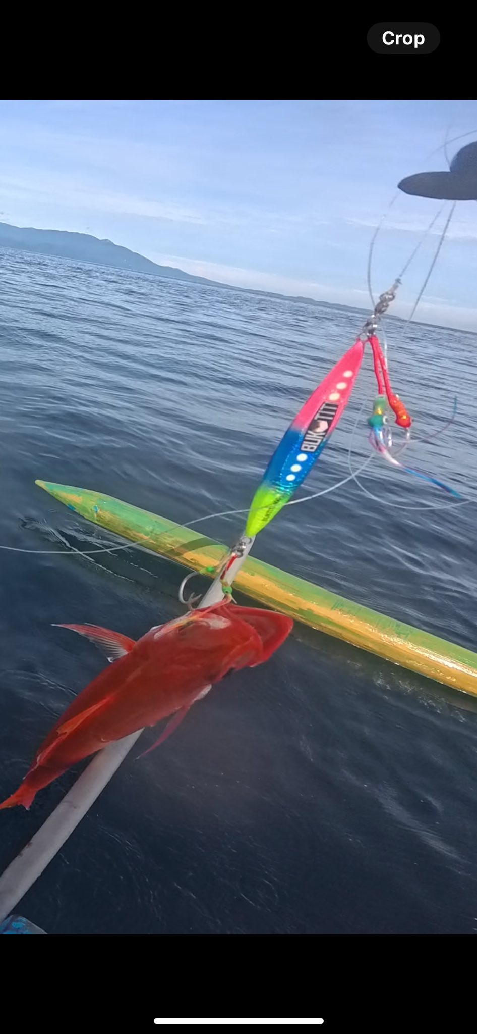 JC Macaguiwa - Mapulang isda maganda pagmasdan. Mas lalo... | Facebook