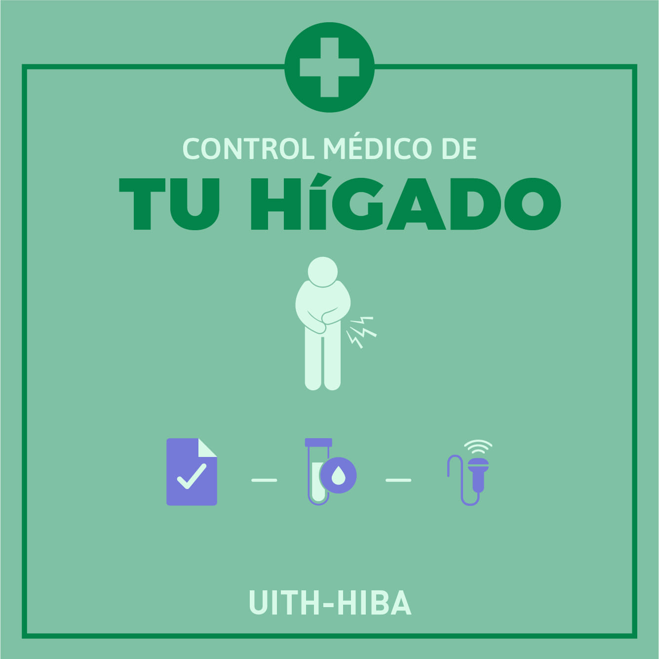 UITH- HIBA - 🗣 Sabías que el hígado es uno de los órganos... | Facebook