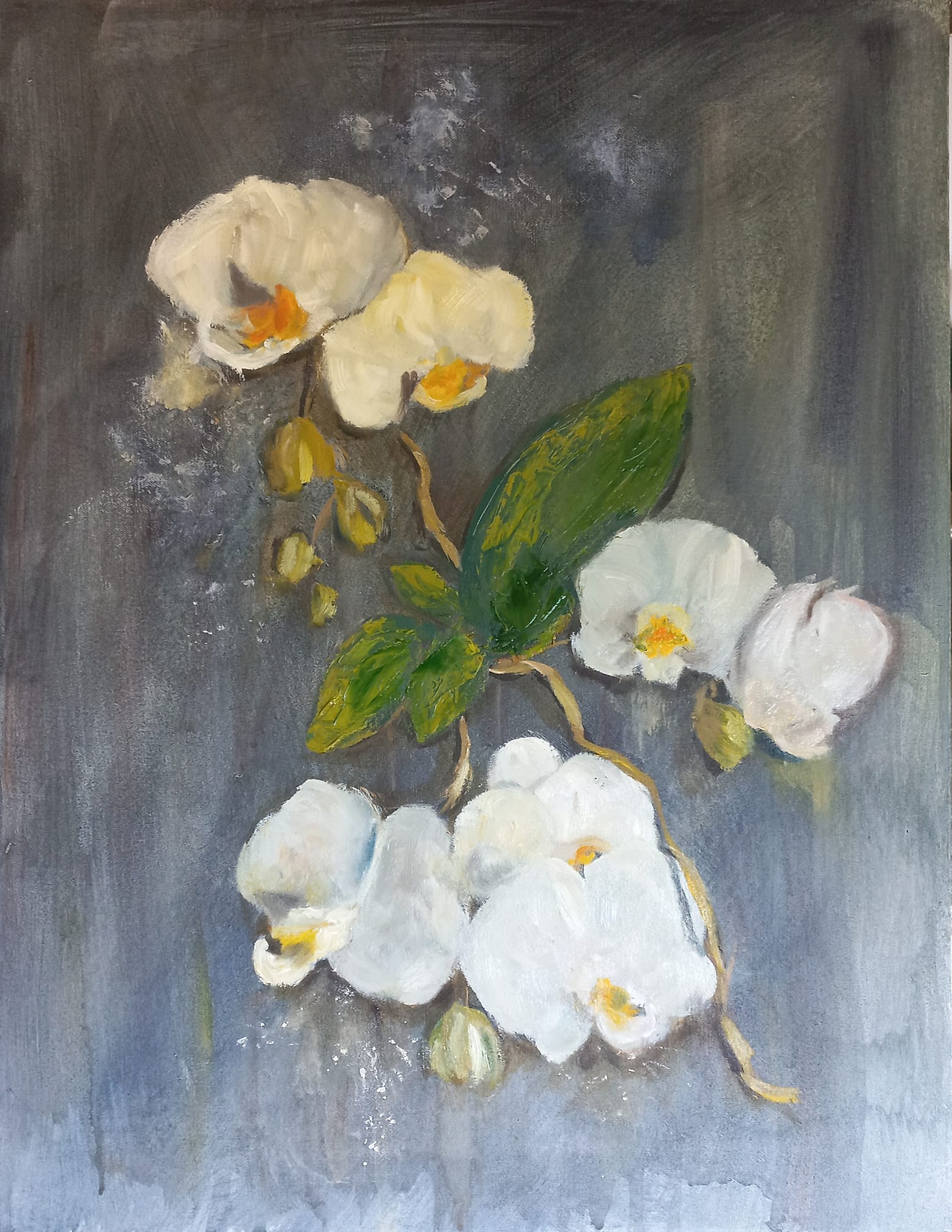 John Powell's Orchid Splendour oil painting