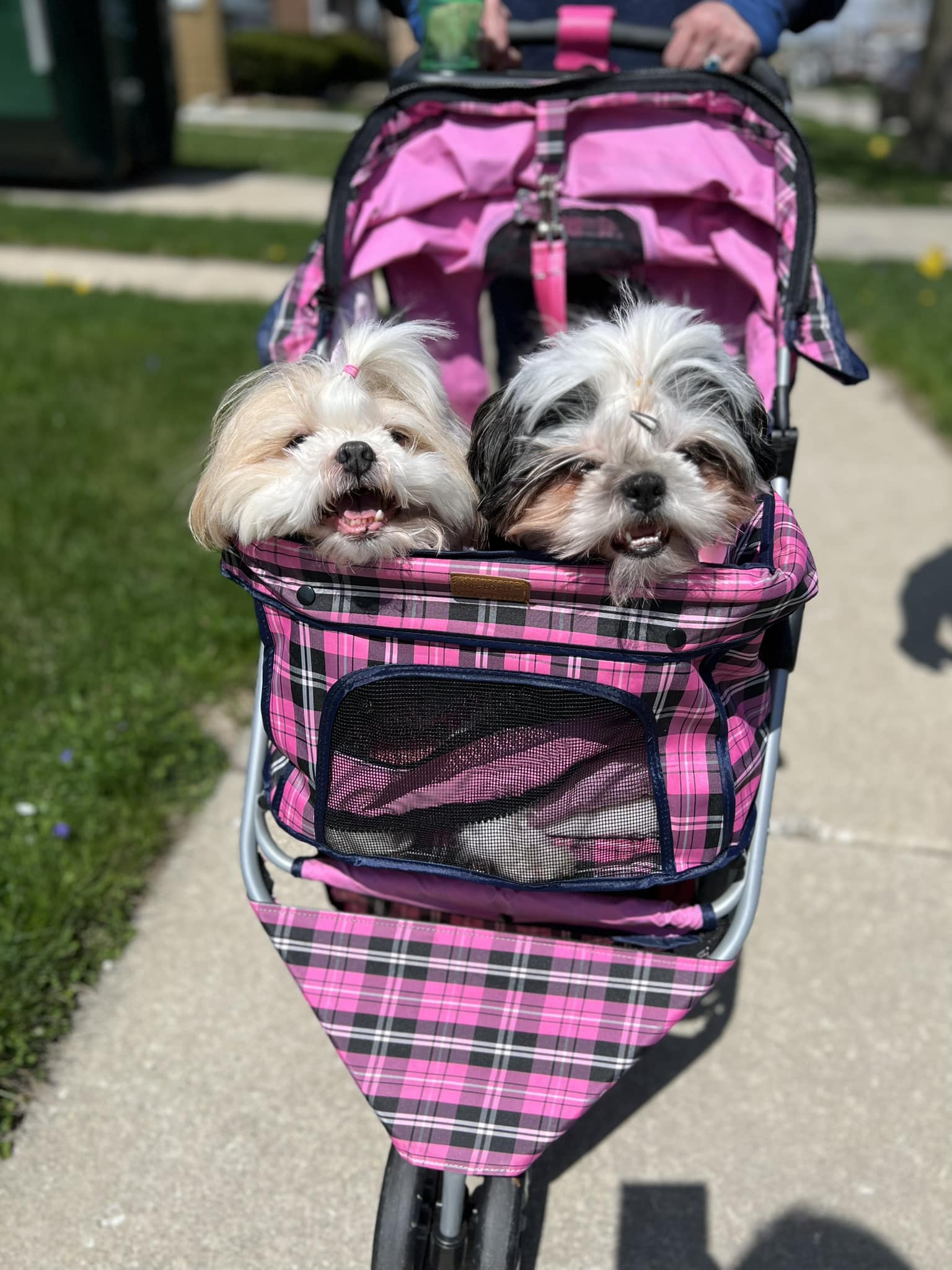 joolz aer stroller canada Aer2 Lightweight Compact The North Face Jester Backpack and adjust with just St. Laurent Shopping Centre Style & Size:Okuma Convector CV 45 D Trolling Line Counter Reel