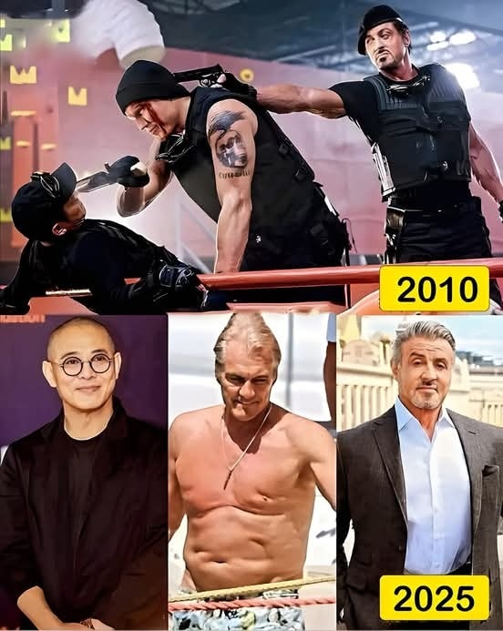 Legend - Jet Li, Dolph Lundgren & Sylvester Stallone: Action Legends ...