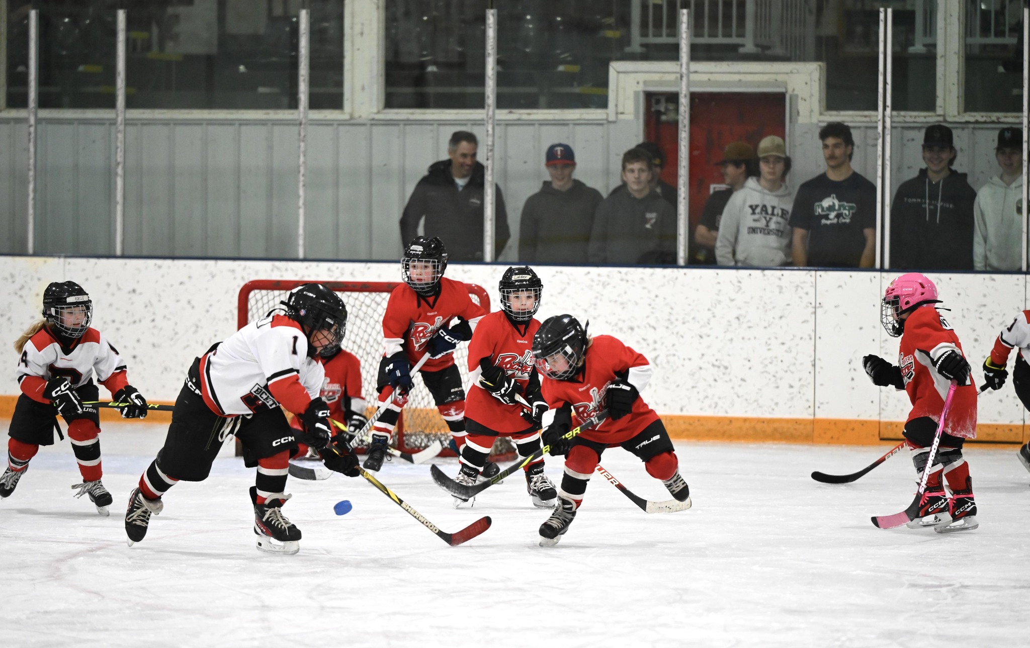 Redvers Minor Hockey | Redvers SK