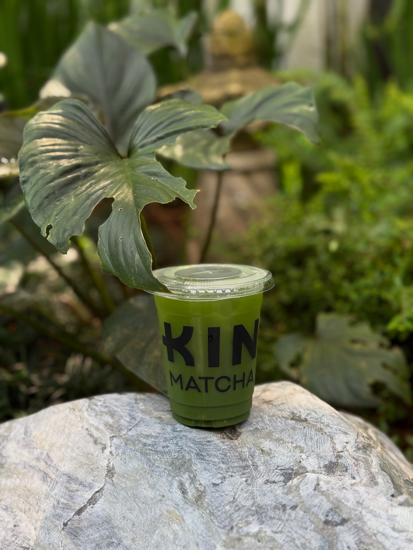 KIN Matcha - คิน มัทฉะ | Chanthaburi