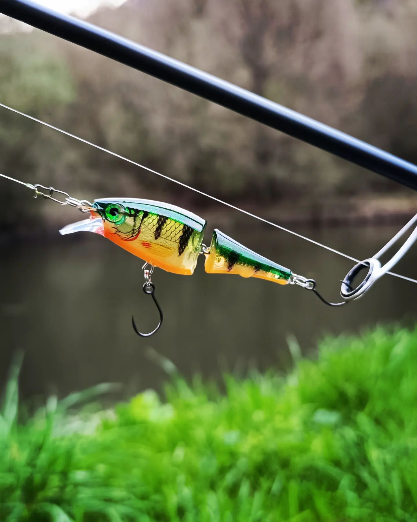 RAPALA Fan Klub Cesko a Slovensko - NOVINKA 2019 - X-RAP OTUS - 25cm ...