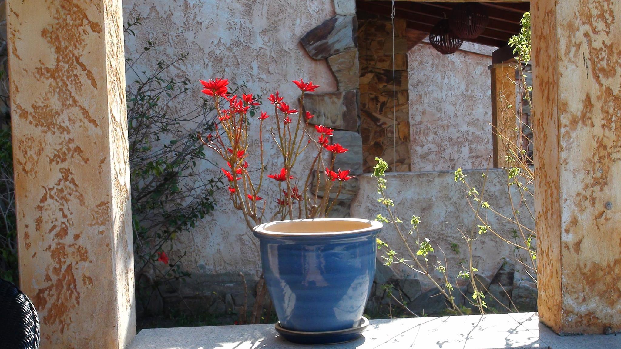 Ostern 2015 In Sardinien Forte Village Resort Facebook